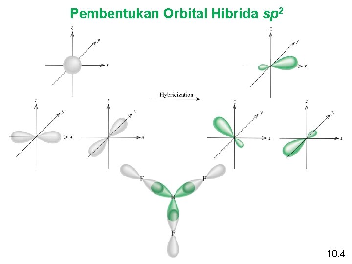 Pembentukan Orbital Hibrida sp 2 10. 4 