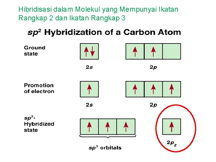 Hibridisasi dalam Molekul yang Mempunyai Ikatan Rangkap 2 dan Ikatan Rangkap 3 
