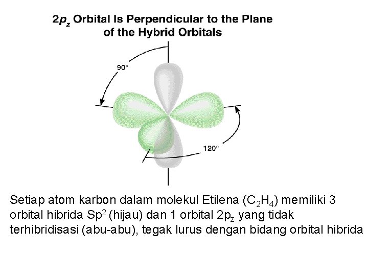 Setiap atom karbon dalam molekul Etilena (C 2 H 4) memiliki 3 orbital hibrida