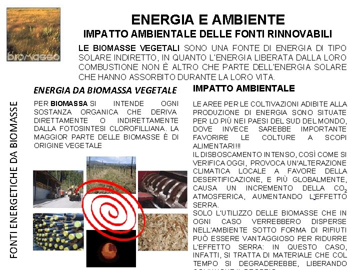 ENERGIA E AMBIENTE IMPATTO AMBIENTALE DELLE FONTI RINNOVABILI FONTI ENERGETICHE DA BIOMASSE LE BIOMASSE