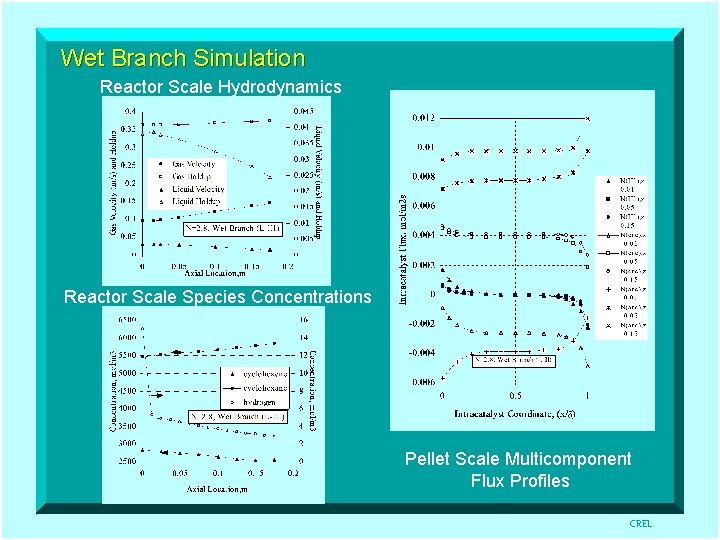 Wet Branch Simulation Reactor Scale Hydrodynamics Reactor Scale Species Concentrations Pellet Scale Multicomponent Flux
