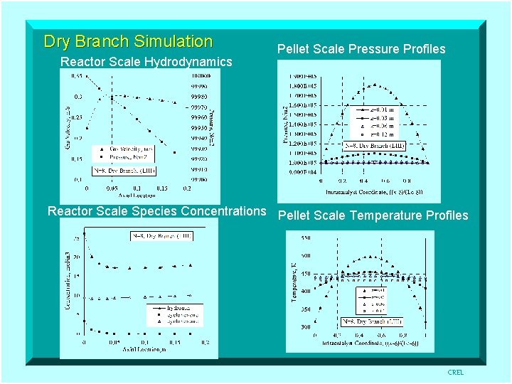 Dry Branch Simulation Reactor Scale Hydrodynamics Pellet Scale Pressure Profiles Reactor Scale Species Concentrations