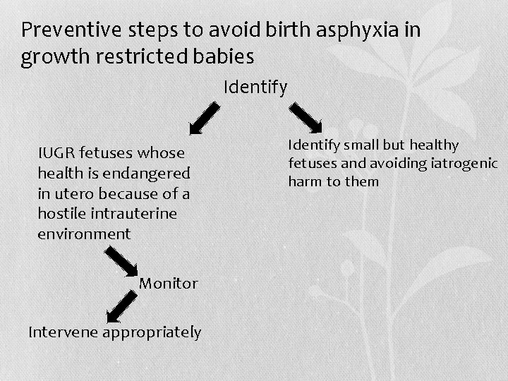 Preventive steps to avoid birth asphyxia in growth restricted babies Identify • IUGR fetuses
