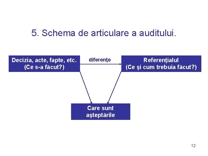 5. Schema de articulare a auditului. Decizia, acte, fapte, etc. (Ce s-a făcut? )