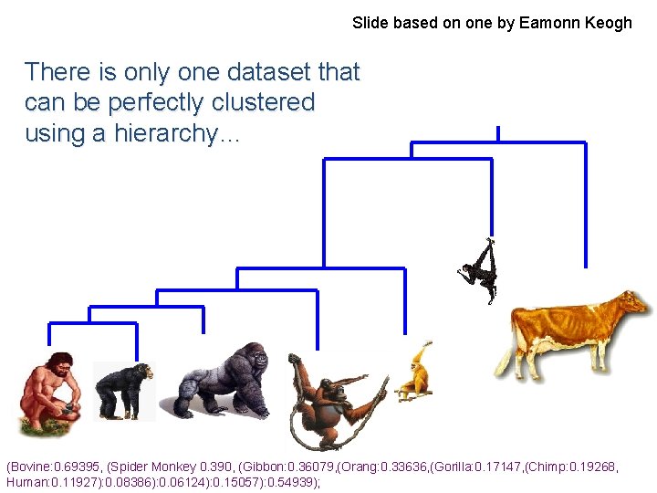 Slide based on one by Eamonn Keogh There is only one dataset that can