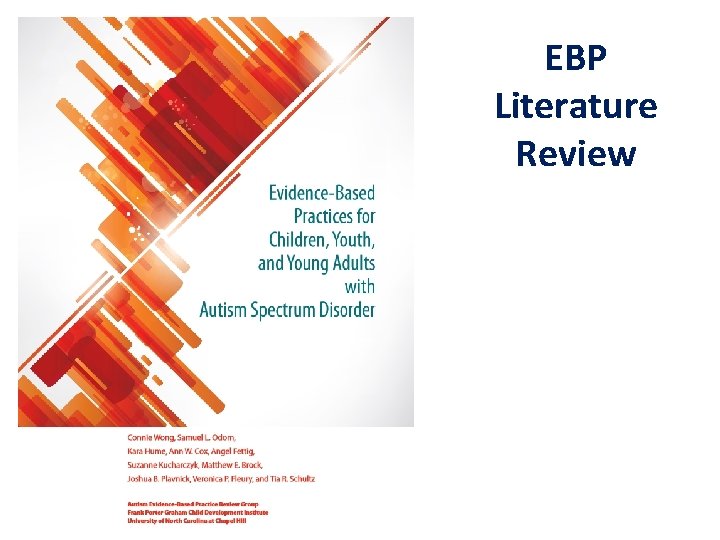 EBP Literature Review 