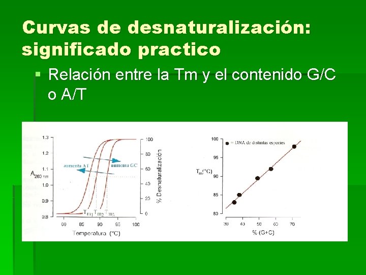 Curvas de desnaturalización: significado practico § Relación entre la Tm y el contenido G/C