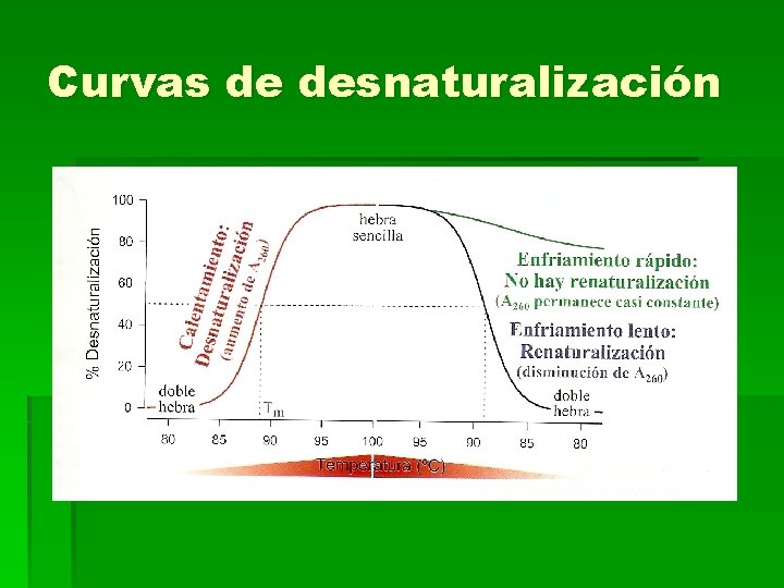 Curvas de desnaturalización 