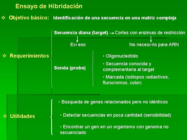 Ensayo de Hibridación v Objetivo básico: Identificación de una secuencia en una matriz compleja