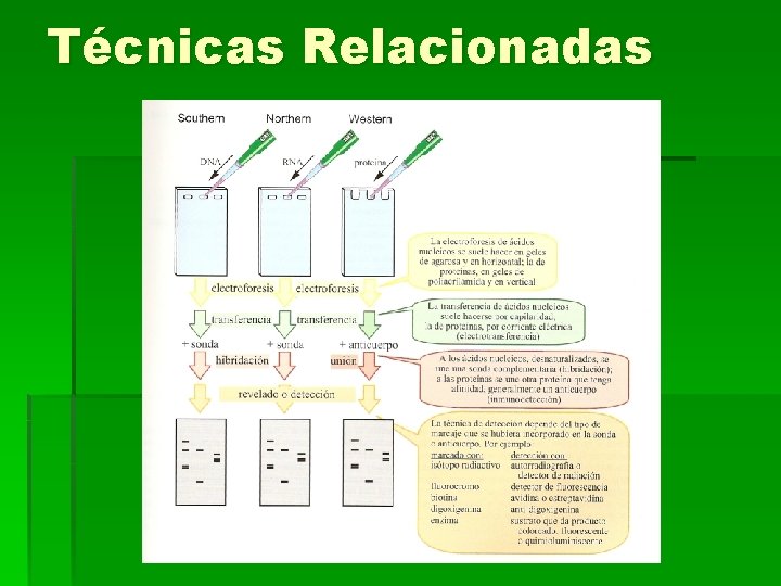 Técnicas Relacionadas 