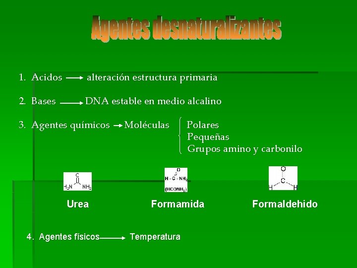 1. Acidos alteración estructura primaria 2. Bases DNA estable en medio alcalino 3. Agentes