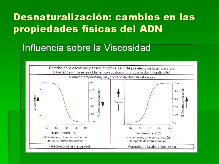Desnaturalización: cambios en las propiedades físicas del ADN Influencia sobre la Viscosidad 