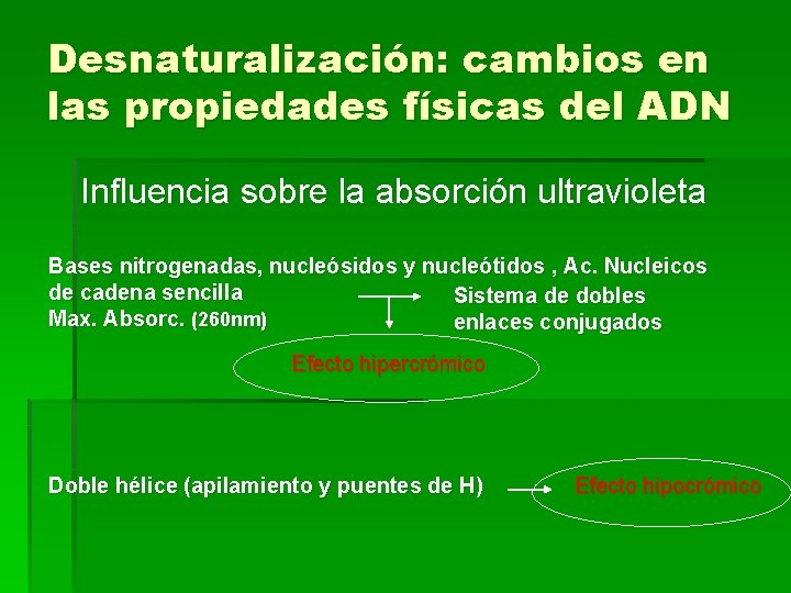 Desnaturalización: cambios en las propiedades físicas del ADN Influencia sobre la absorción ultravioleta Bases