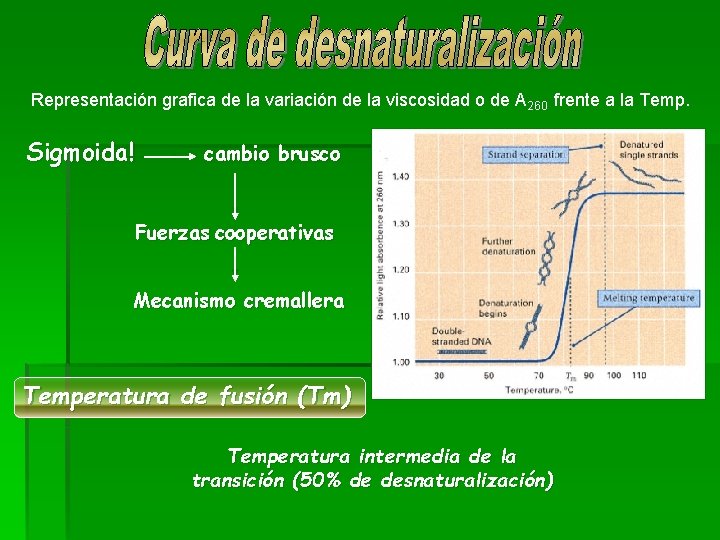 Representación grafica de la variación de la viscosidad o de A 260 frente a