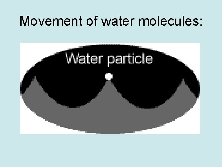 Movement of water molecules: 