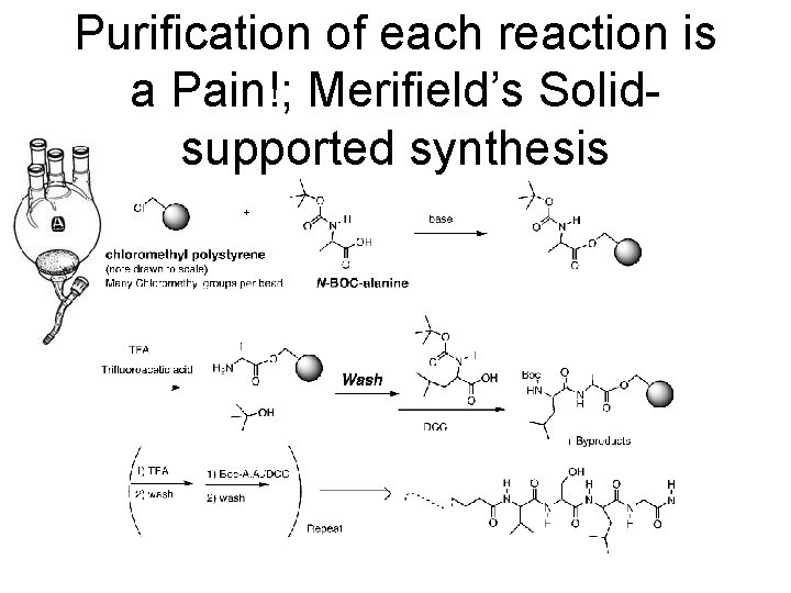 Purification of each reaction is a Pain!; Merifield’s Solidsupported synthesis 