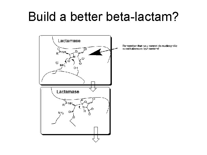 Build a better beta-lactam? 