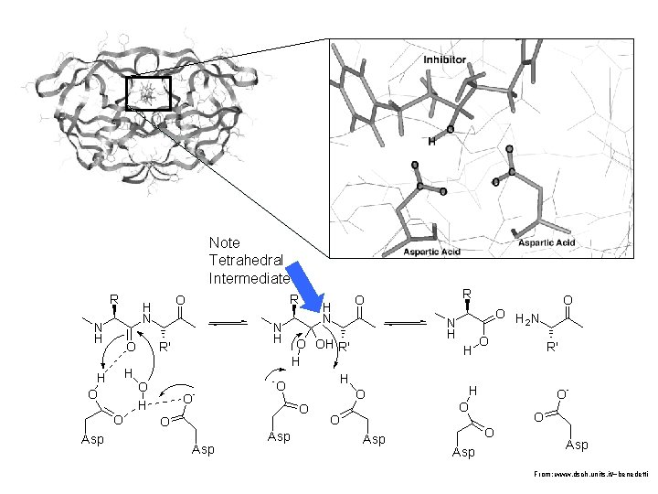 Note Tetrahedral Intermediate From: www. dsch. units. it/~benedetti 