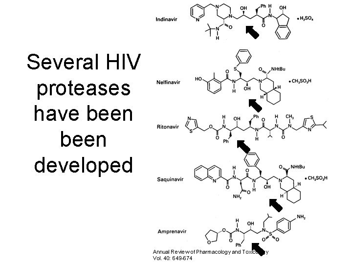 Several HIV proteases have been developed Annual Review of Pharmacology and Toxicology Vol. 40: