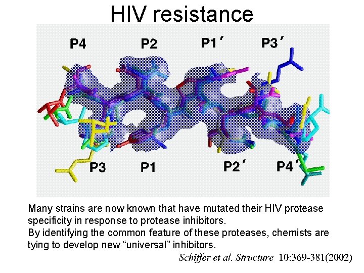 HIV resistance Many strains are now known that have mutated their HIV protease specificity