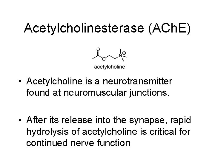 Acetylcholinesterase (ACh. E) • Acetylcholine is a neurotransmitter found at neuromuscular junctions. • After