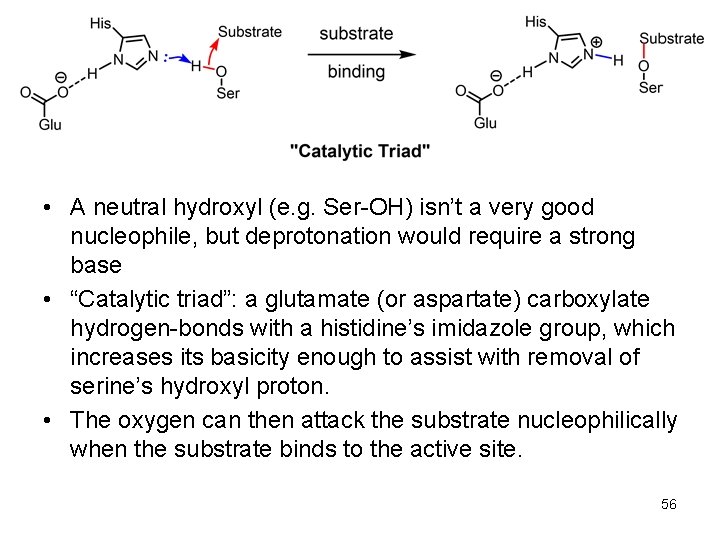  • A neutral hydroxyl (e. g. Ser-OH) isn’t a very good nucleophile, but