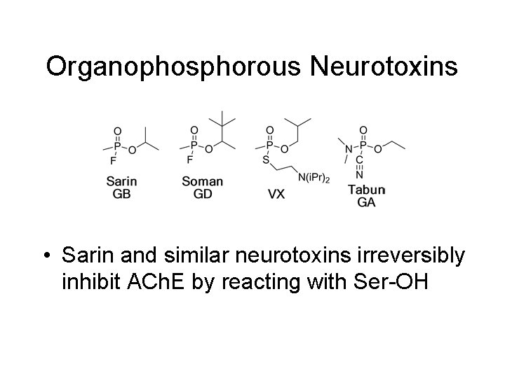 Organophosphorous Neurotoxins • Sarin and similar neurotoxins irreversibly inhibit ACh. E by reacting with