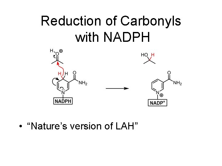 Reduction of Carbonyls with NADPH • “Nature’s version of LAH” 