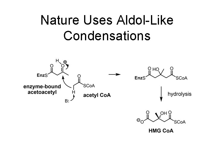 Nature Uses Aldol-Like Condensations Nature Uses Aldol-Like Condensations