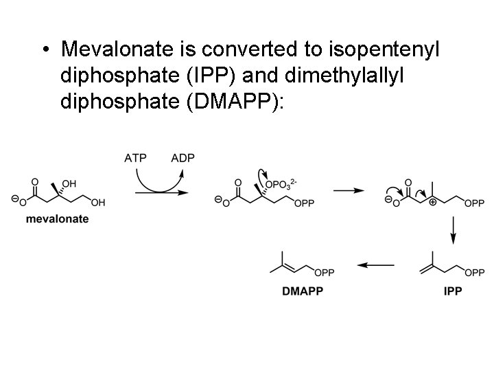  • Mevalonate is converted to isopentenyl diphosphate (IPP) and dimethylallyl diphosphate (DMAPP): 