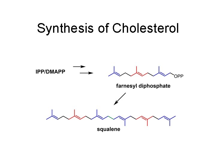 Synthesis of Cholesterol 