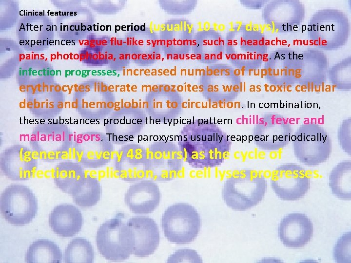 Clinical features After an incubation period (usually 10 to 17 days), the patient experiences