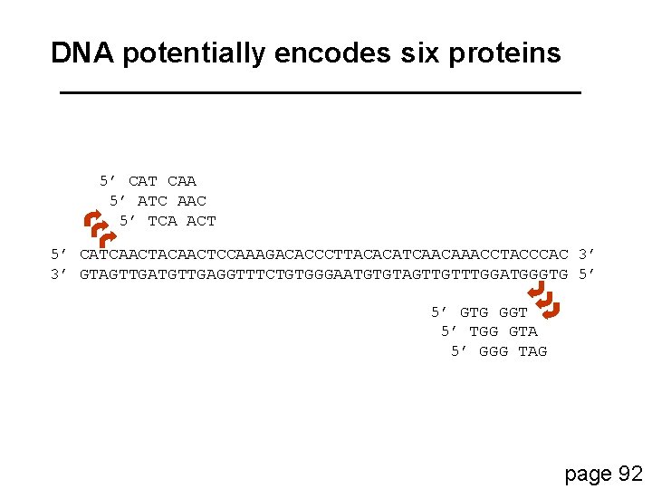 DNA potentially encodes six proteins 5’ CAT CAA 5’ ATC AAC 5’ TCA ACT