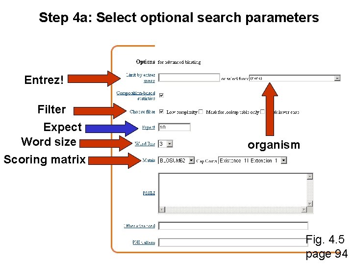 Step 4 a: Select optional search parameters Entrez! Filter Expect Word size Scoring matrix