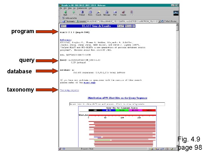 program query database taxonomy Fig. 4. 9 page 98 