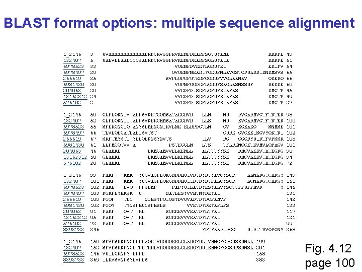 BLAST format options: multiple sequence alignment Fig. 4. 12 page 100 