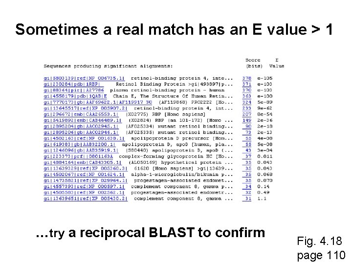 Sometimes a real match has an E value > 1 …try a reciprocal BLAST