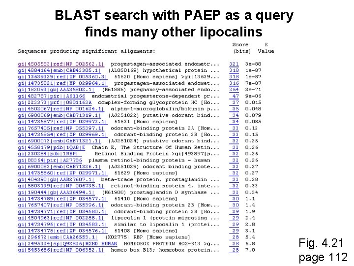 BLAST search with PAEP as a query finds many other lipocalins Fig. 4. 21