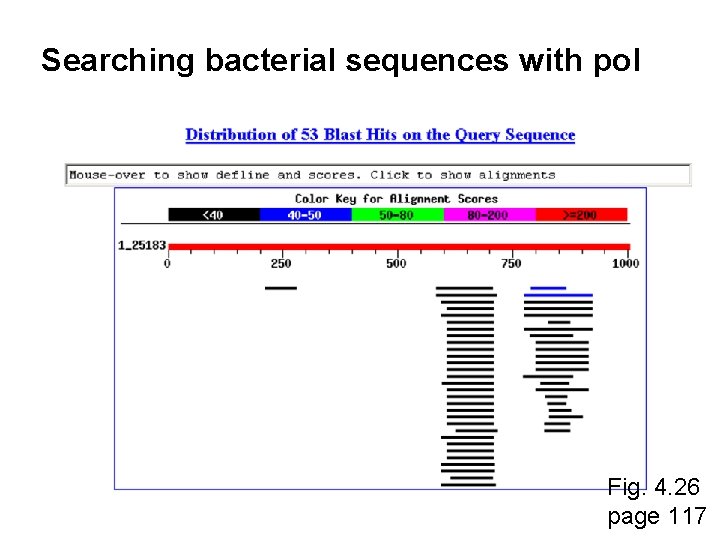 Searching bacterial sequences with pol Fig. 4. 26 page 117 