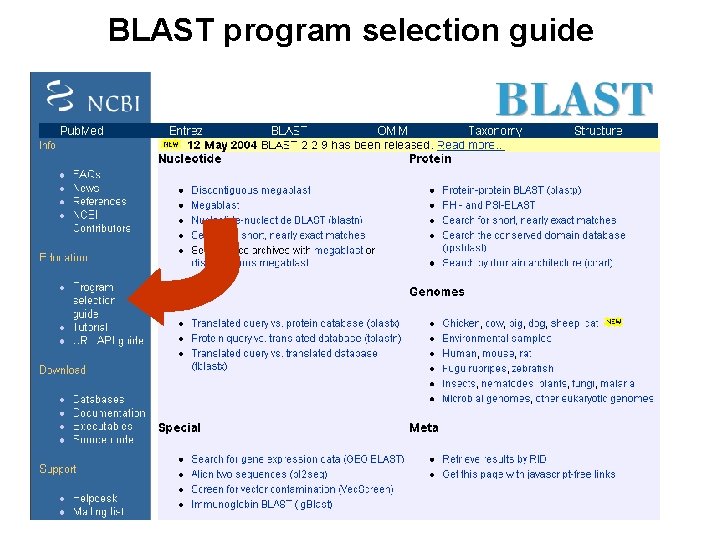 BLAST program selection guide 