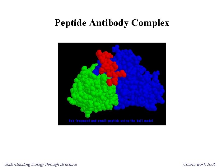 Peptide Antibody Complex Understanding biology through structures Course work 2006 