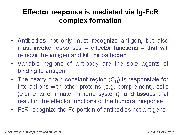 Effector response is mediated via Ig-Fc. R complex formation • Antibodies not only must