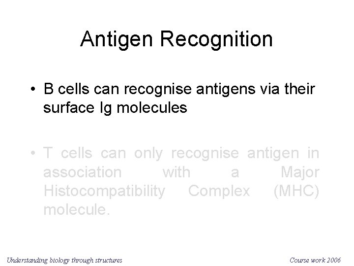 Antigen Recognition • B cells can recognise antigens via their surface Ig molecules •