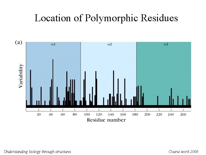 Location of Polymorphic Residues Understanding biology through structures Course work 2006 
