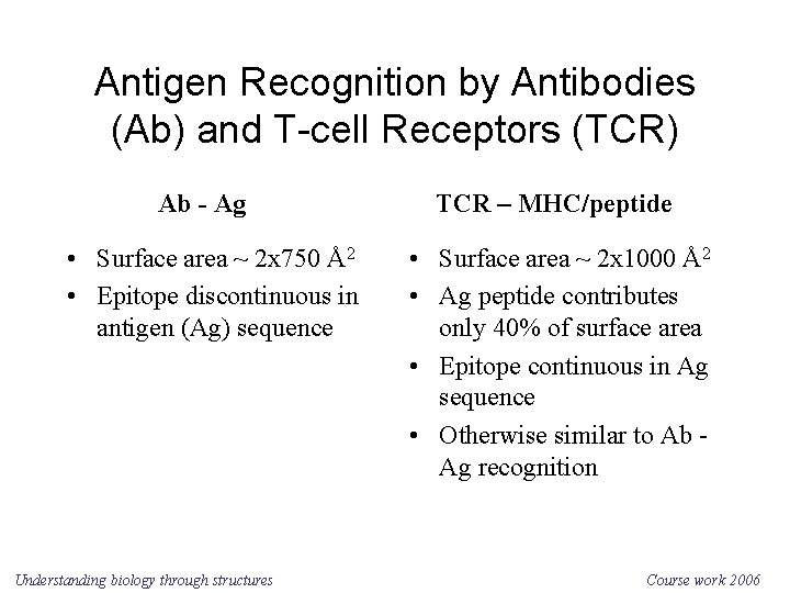 Antigen Recognition by Antibodies (Ab) and T-cell Receptors (TCR) Ab - Ag • Surface