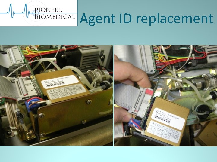 Agent ID replacement 