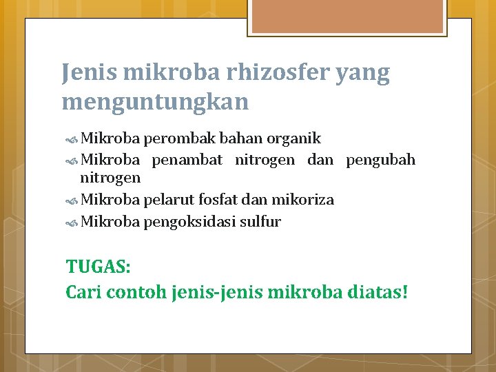 Jenis mikroba rhizosfer yang menguntungkan Mikroba perombak bahan organik Mikroba penambat nitrogen dan pengubah