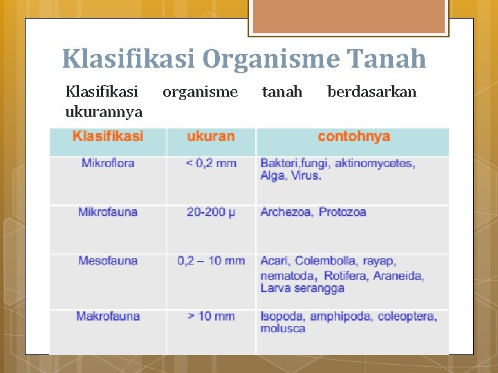 Klasifikasi Organisme Tanah Klasifikasi ukurannya organisme tanah berdasarkan 