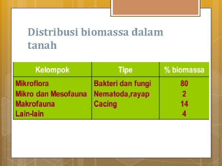 Distribusi biomassa dalam tanah 