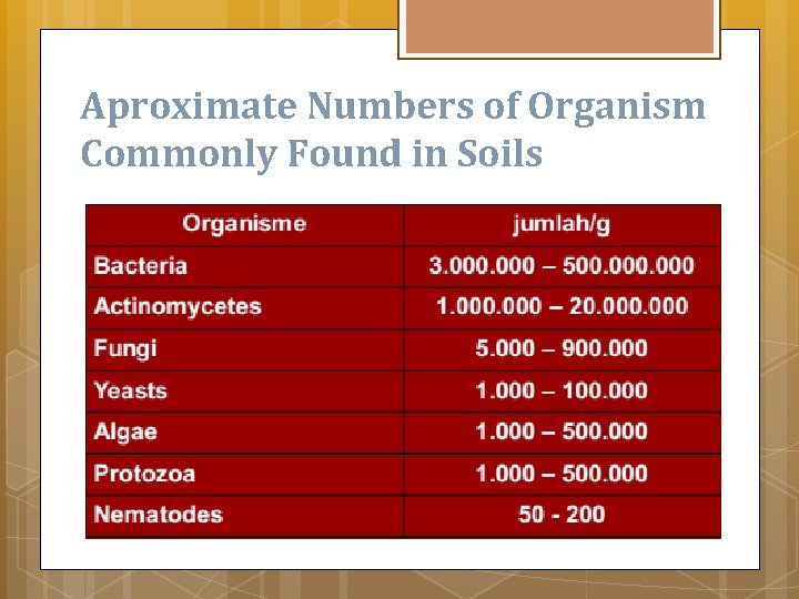 Aproximate Numbers of Organism Commonly Found in Soils 